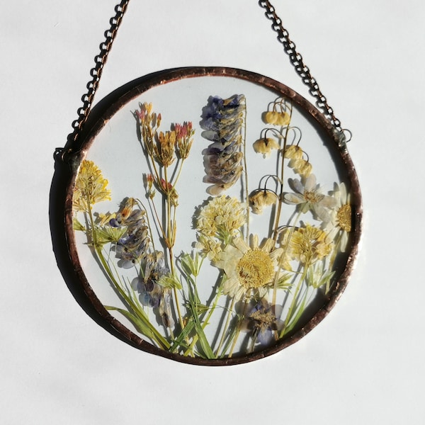 Dried Flower Herbarium: Stained Glass Wildflower Suncatcher