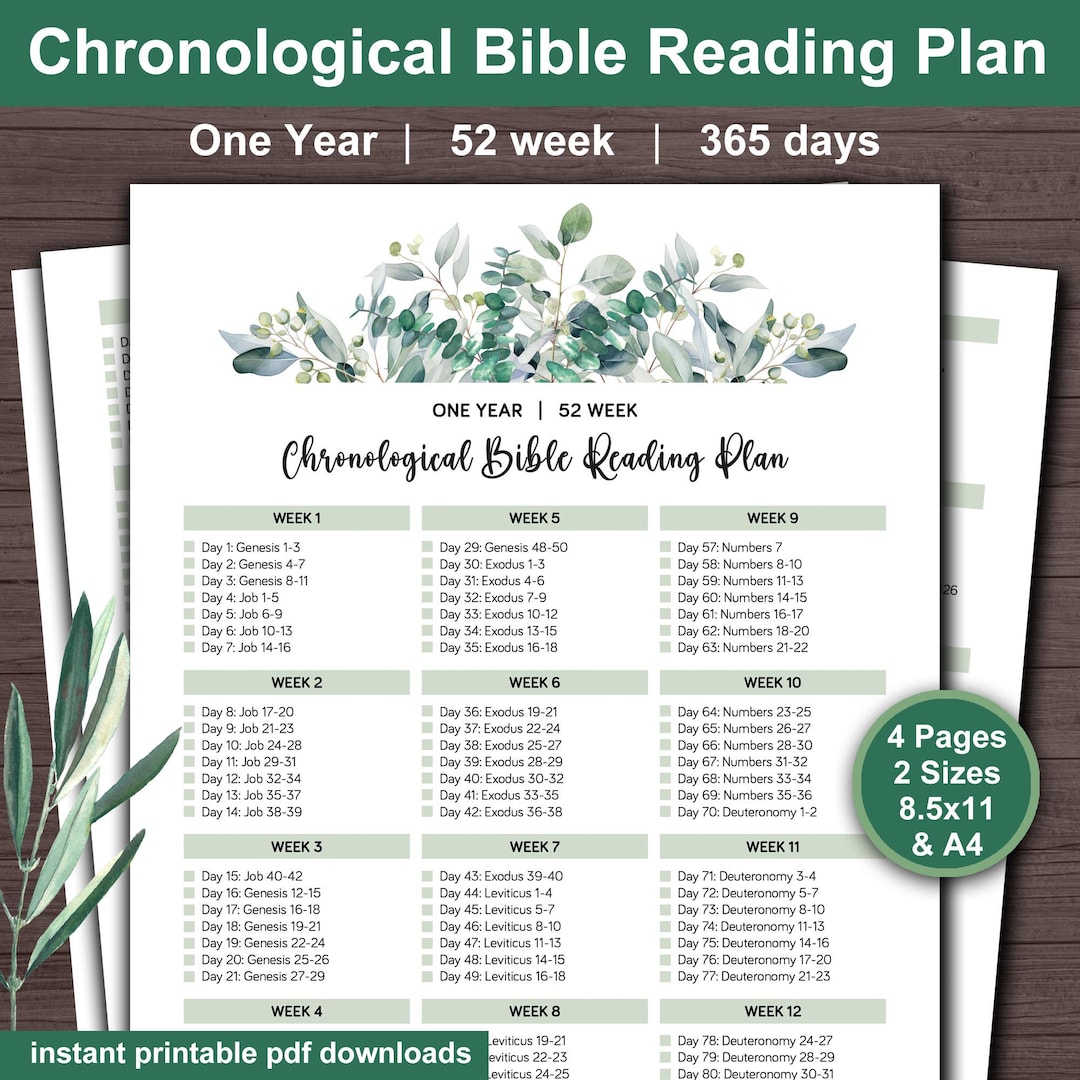 Chronological Bible Reading Plan: One Year Tracker (digital Download ...