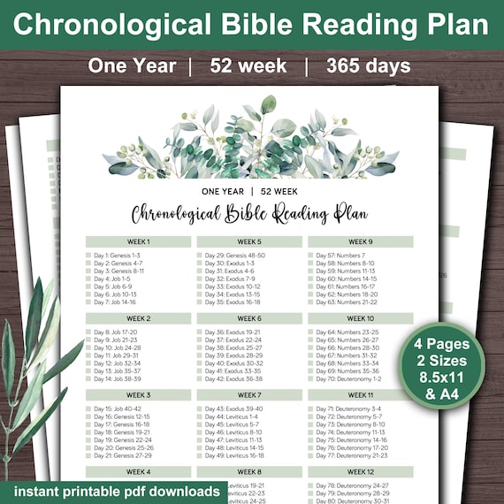 Chronological Bible Reading Plan: One Year Tracker (Digital Download)