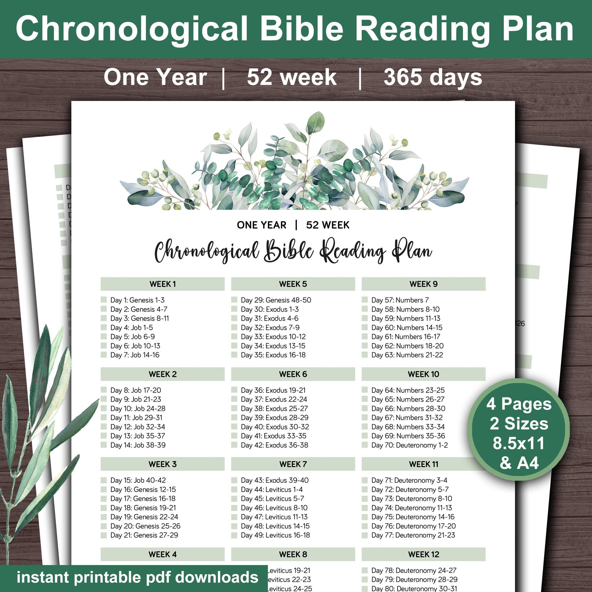 Chronological Bible Reading Plan: One Year Tracker (digital Download ...