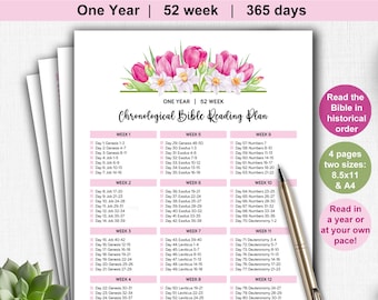 One Year Bible Plan Printable Tracker. Chronological Bible Reading Plan for women. Read through the Bible in a Year.  Bible reading plan.
