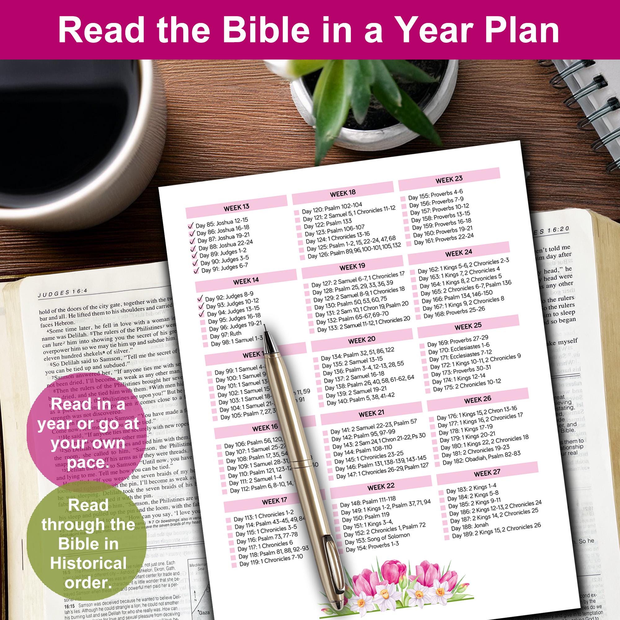 One Year Bible Plan Printable Tracker. Chronological Bible Reading Plan