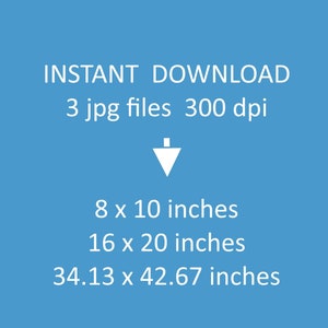 May include: A blue background with white text that reads "INSTANT DOWNLOAD 3 jpg files 300 dpi" and a white downward pointing arrow. Below the arrow are three lines of text that read "8 x 10 inches", "16 x 20 inches", and "34.13 x 42.67 inches".