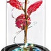Enchanting Red Rose in LED Glass Dome, Romantic Home-decor and Perfect ...