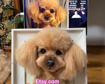 Handmade wool felt pet head