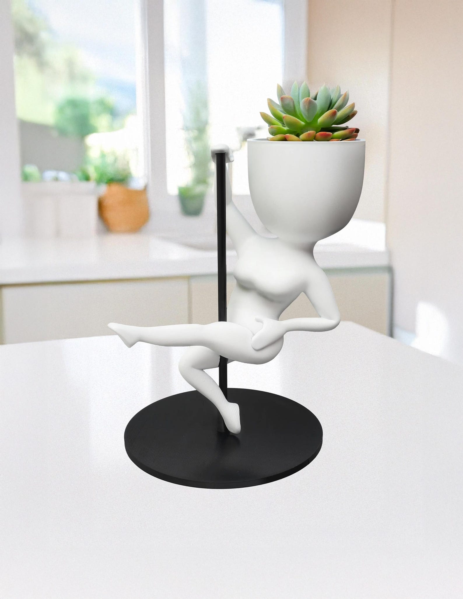 Yoga Reverse Warrior Planter