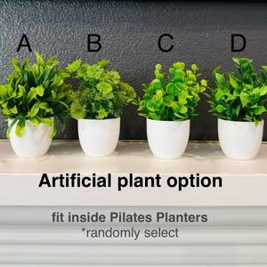 Pilates Reformer Planter with Artificial Plant, for Pilates Studio or Modern Home Decor image 7