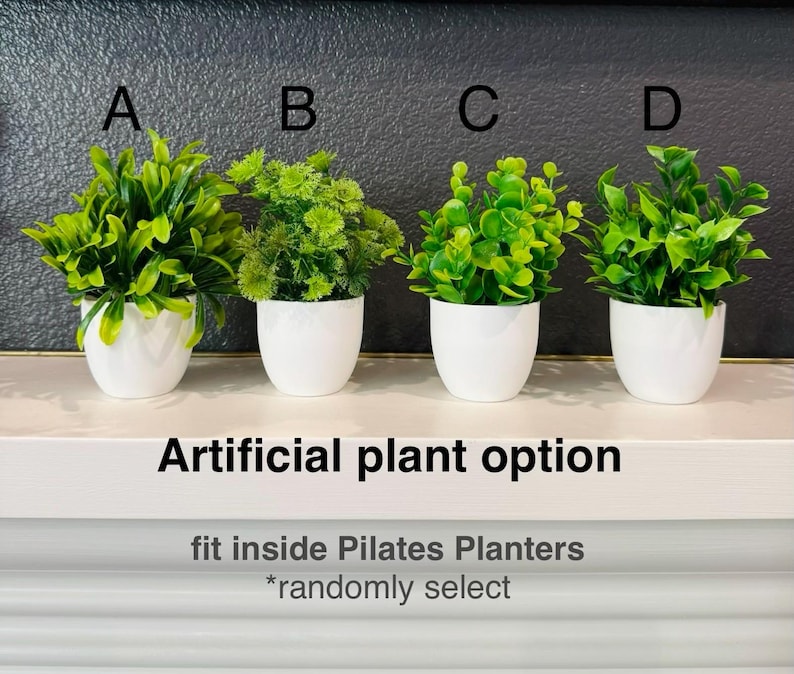 Pilates Reformer Planter with Artificial Plant, for Pilates Studio or Modern Home Decor image 7