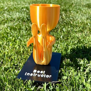 May include: A 3D-printed gold-colored trophy with a cup-shaped top and a stylized figure holding two objects. The trophy sits on a black base with the words "Best Instructor" in white. The trophy is on a green grassy background.