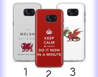 Welsh Flag 2 Phone Case Cover For Samsung Galaxy S5 S6 S7 S8 S9 Edge Plus LTE NEO Models United Kingdom England The Flag of Wales Dragon