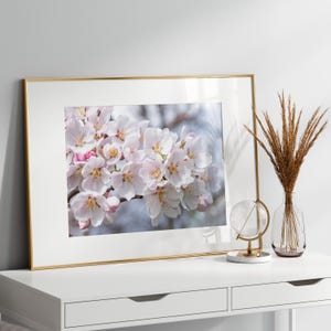Fleurs de sakura, art mural fleurs de cerisier, gros plan, décoration d'intérieur, photo macro, affiche imprimable, nature printanière en fleurs, téléchargement numérique