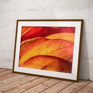 Orange Herbst Blätter, druckbare Wandkunst, bunte Wohnkultur Poster, Herbst Makro Fotografie, Nahaufnahme, lebendige Farben