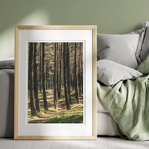 Sonniger Kiefernwald, Natur, Wandkunst, Wohndekor, Sommerlandschaft, Fotografie, druckbares Poster, digitaler Download