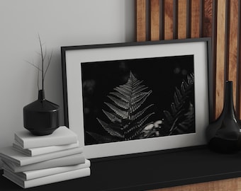 Black and White Fern Print, Moody Botanical Photography, Monochrome Wall Art, Macro Nature Poster, Fine Art Print, Digital Download