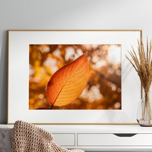 Orange Herbst Blatt, druckbare Wandkunst, bunte Wohnkultur Poster, Herbst Makro Fotografie, Nahaufnahme, lebendige Farben