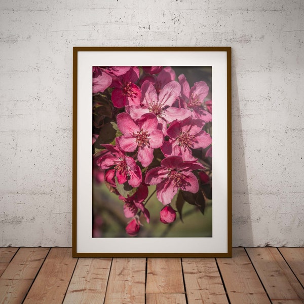Romantic Pink Blossoms, Printable Floral Wall Art, Close Up Flower Image, Blooming Apple Tree, Colorful Home Decor Poster, Macro Photography