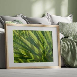 Grüne Palmenblätter, Wohndekor-Poster, druckbare abstrakte Wandkunst, Makro-Naturmuster, sonniger Sommer Bild, Nahaufnahme