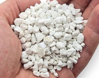Oyster Shell Calcium – Natural Crushed Calcium for Isopods, Hermit Crabs & Reptiles | 1 lb / 4 lb Bags