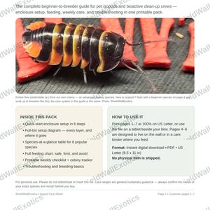 Isopod Care Sheet Printable Bundle | Setup Diagram, Species Chart, Feeding Guide, Checklist & Colony Tracker | Bioactive Terrarium PDF