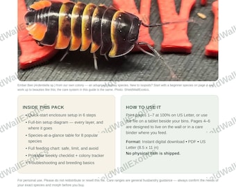 Pacchetto stampabile di schede per la cura degli isopodi / Schema di allestimento, tabella delle specie, guida all'alimentazione, lista di controllo e tracker della colonia / Terrario bioattivo in PDF