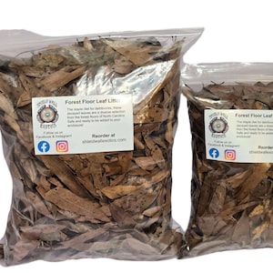 Forest floor leaf litter (3 sizes!)