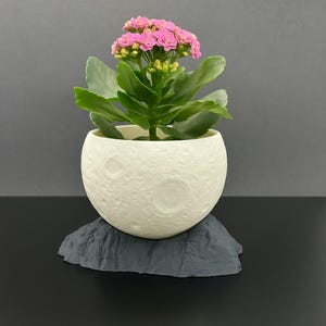 Maceta lunar impresa en 3D - Diseño de cráter con drenaje / 10 x 9 x 9 cm / Estilo espacial