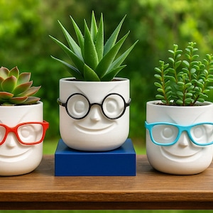 Może przedstawiać: Trzy białe ceramiczne doniczki z uśmiechniętymi twarzami i okularami. Doniczki zawierają różne rodzaje zielonych roślin. Jedna ma czerwone okulary, druga czarne, a trzecia niebieskie. Doniczki stoją na drewnianym stole.