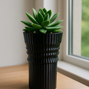 May include: A black, ribbed, decorative plant pot holding a green succulent. The pot has a unique, textured design and sits on a wooden surface near a window. The plant's leaves are a vibrant green.