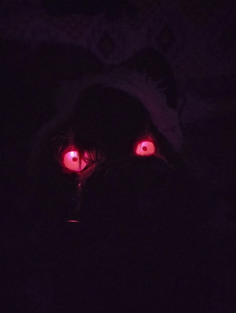 ON Holdblack Wolf Premade Fursuit Head MSG FIRST Etsy