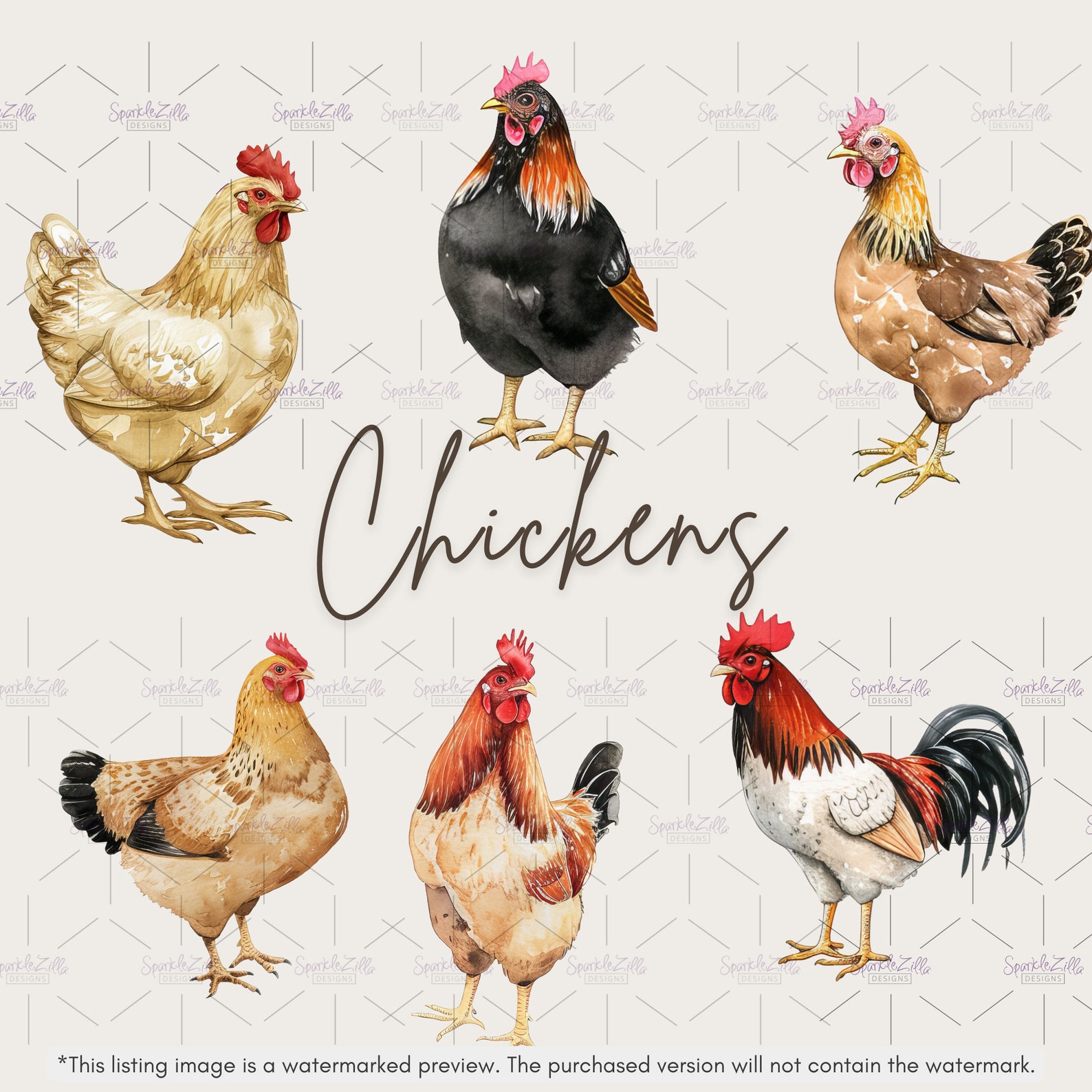 Watercolor Chicken Clipart: Farm Animal PNG Graphics (digital Download ...