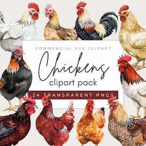 Chicken clipart | Farm Animals Clipart | Chicken Watercolor | Chicken Farm Clipart | Watercolor Chicken PNG | Watercolor Rooster Clipart