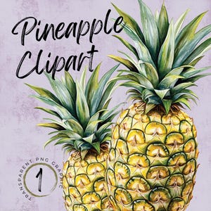 Pineapple Clipart | Tropical Fruit SVG | Pineapple PNG | Fruit Clipart | Instant Download | Summer Art | Digital Download