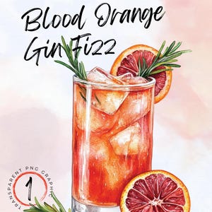 Aquarell Blut Orange Gin Fizz Clipart | Alkohol trinken Illustration | Digitaler Download | Blutorange Gin Fizz PNG | Signature Drink