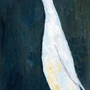 May include: Oil painting of a white duck with an orange beak and feet against a dark background. The duck has a long neck and is standing in a relaxed pose. The artwork is signed in the bottom right corner.