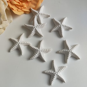 Stella marina in gesso, segnaposto, bomboniera,matrimonio,cresima,comunione ,nascita,gessetto profumato