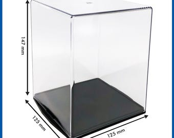 Cavalry Display Case