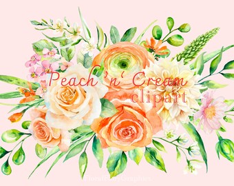 INSTANT DOWNLOAD - Peach and Cream Watercolour Floral Clipart, summer floral graphics, flower png, floral images, summer clipart, peachc