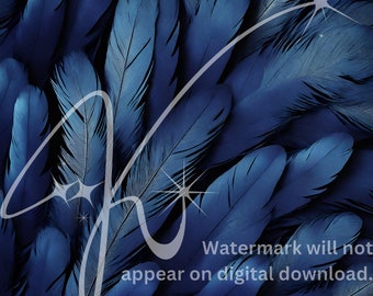 Dark Blue Feathers Digital Paper - Digital Download - Digital Scrapbooking