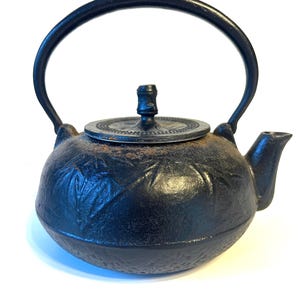 Vintage Japanese Tetsubin Cast Iron Teapot Tea Kettle with Infuser