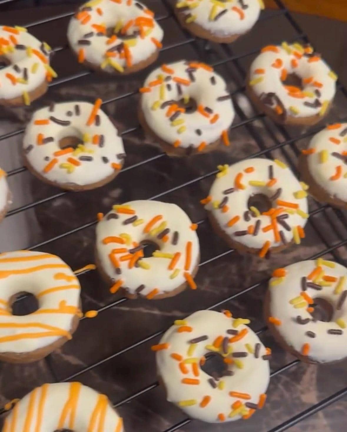 Fall Colored Homemade Peanut Butter Dog Treat Dozen Donuts
