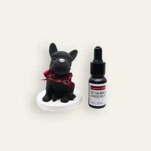 patte d'érable, calmants pour chiens et chats, huiles essentielles d'aromathérapie anti-stress, diffuseur en plâtre