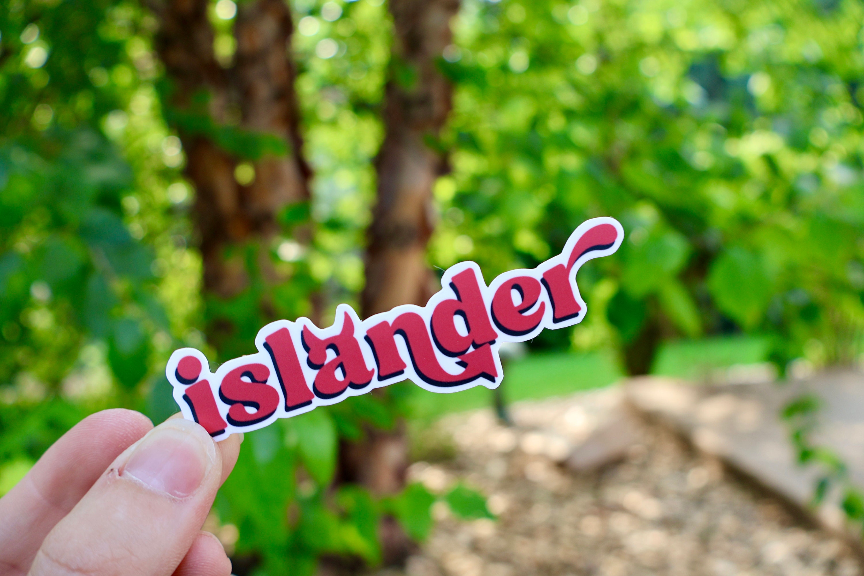 Islander Sticker Grosse Ile Islander Vinyl Sticker: Michigan Red Devils Pride - Etsy
