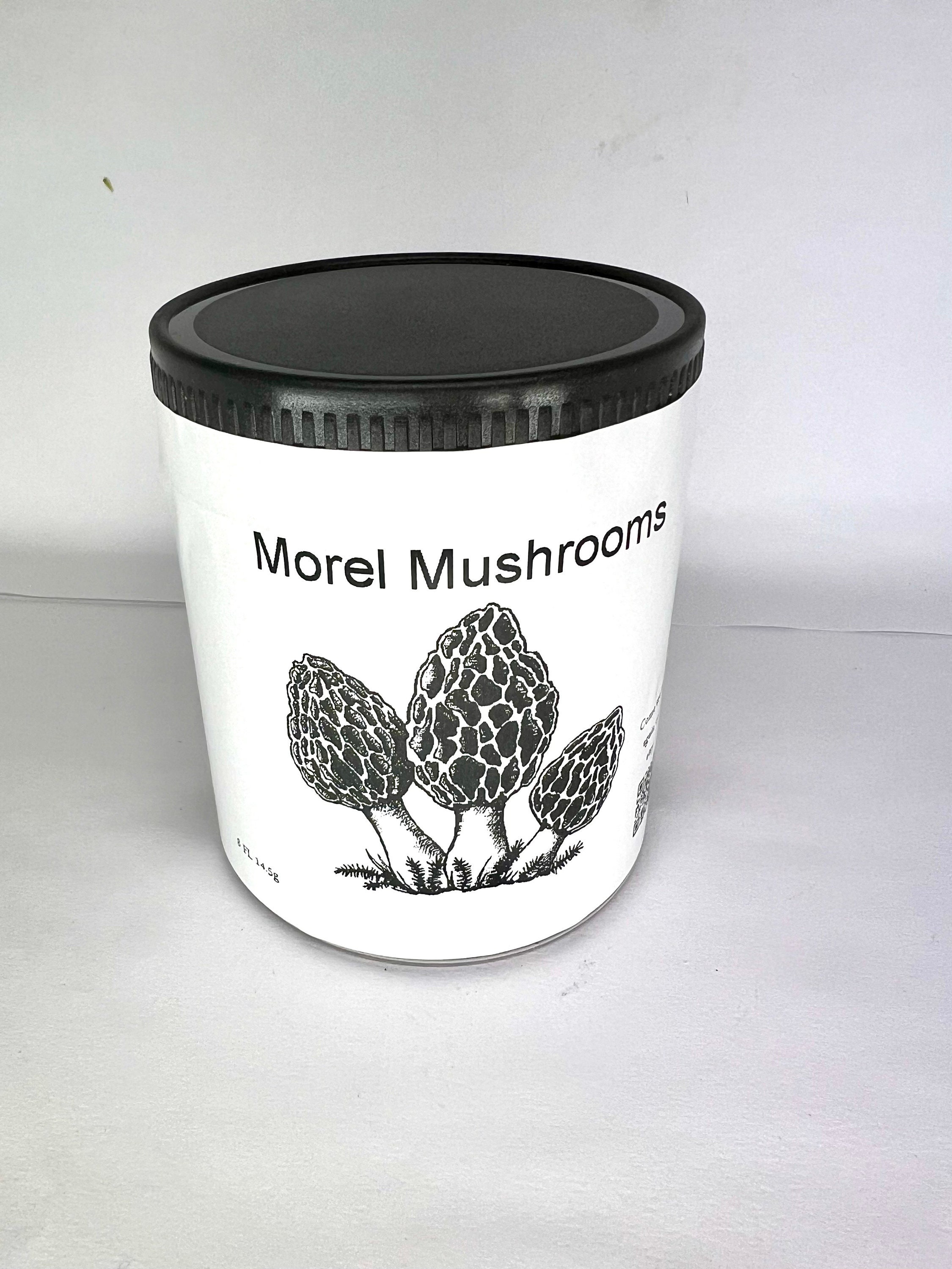 Dehydrated Morel Mushrooms 1/2 Ounce - Etsy