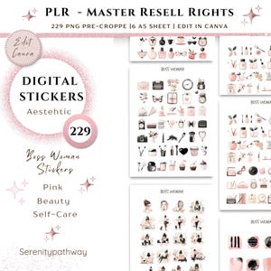 PLR Digital Stickers| 229 Everyday Sticker Sheets|ipad Stickers ...