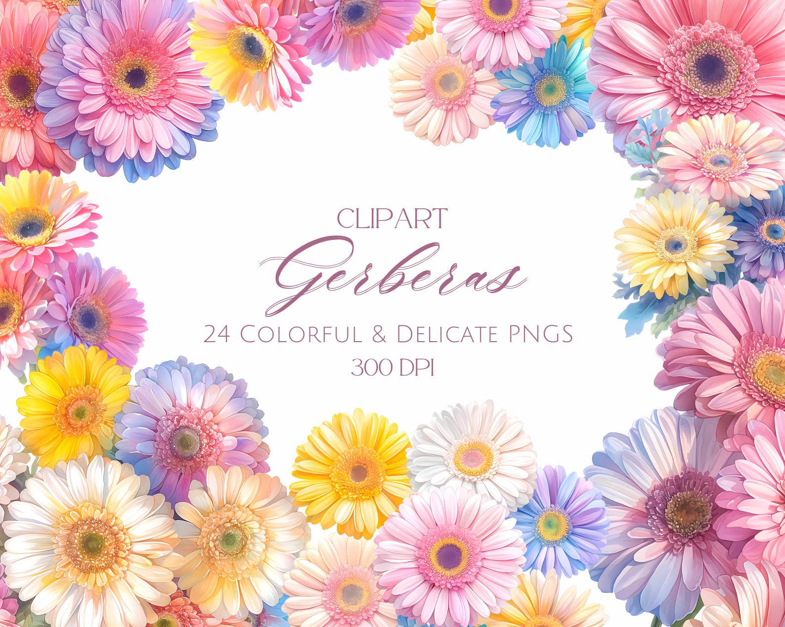 Gerberas png clipart - Etsy México, image size:1588x1270