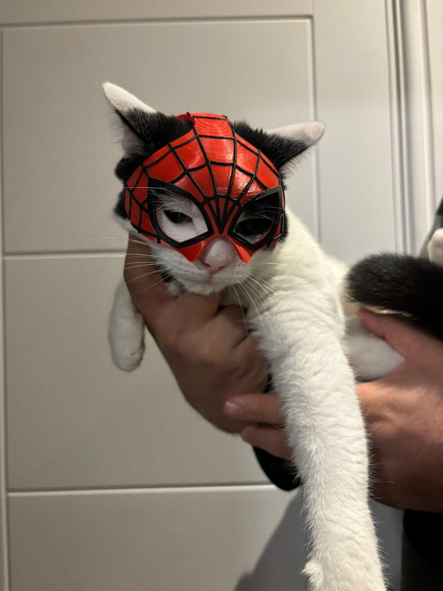Spider-Man Mask for Cats