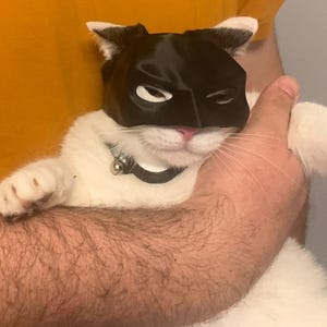 Batcat mask for cats, black 3D printed, Halloween costume for your cat