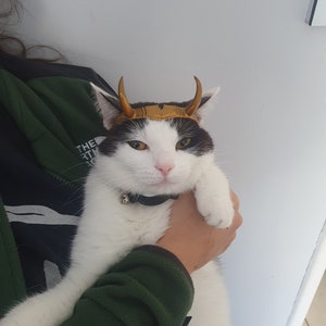 May include: A white and black cat wearing a gold crown with horns. The cat is being held by a person wearing a green sweater.