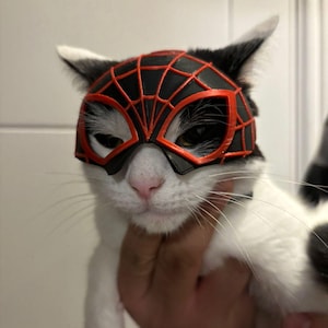 Op de afbeelding: Een zwart en rood Spider-Man masker op een zwart-witte kat. Het masker heeft een webdesign en bedekt de ogen en het voorhoofd van de kat. De kat wordt in iemands hand gehouden.