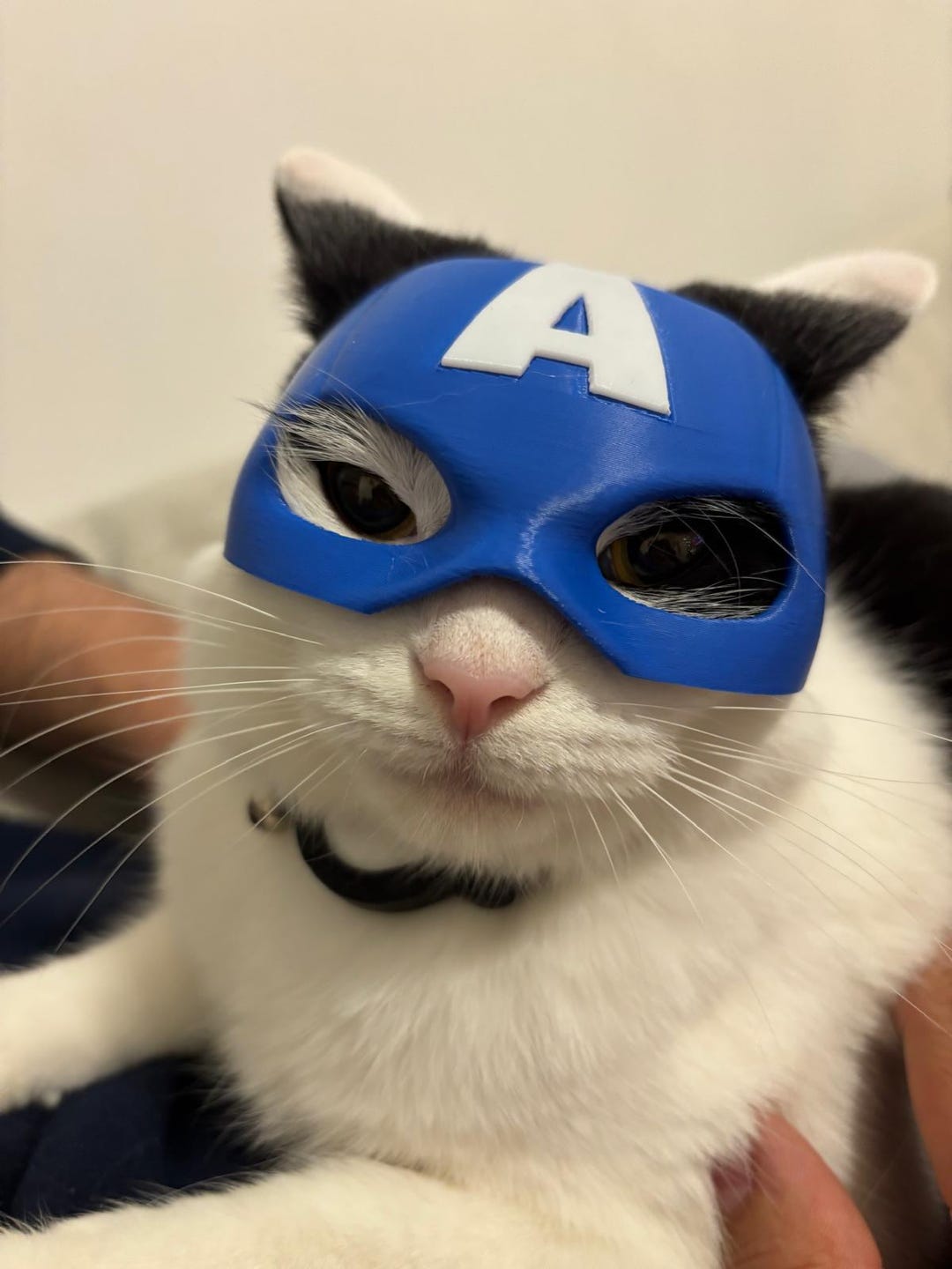 Captain America Mask for Cats